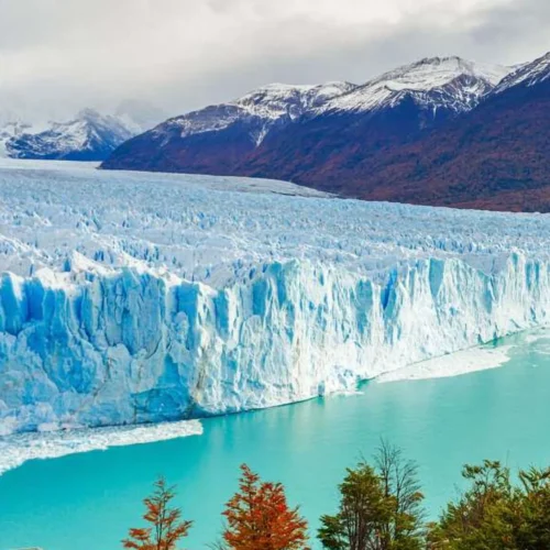 Calafate