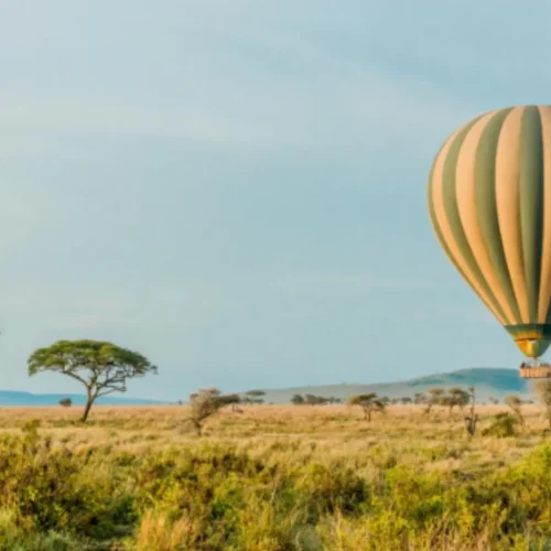 ¡NUEVO! Kenia Slow Travel