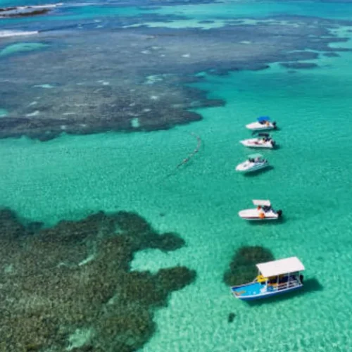 Charter a Maragogi